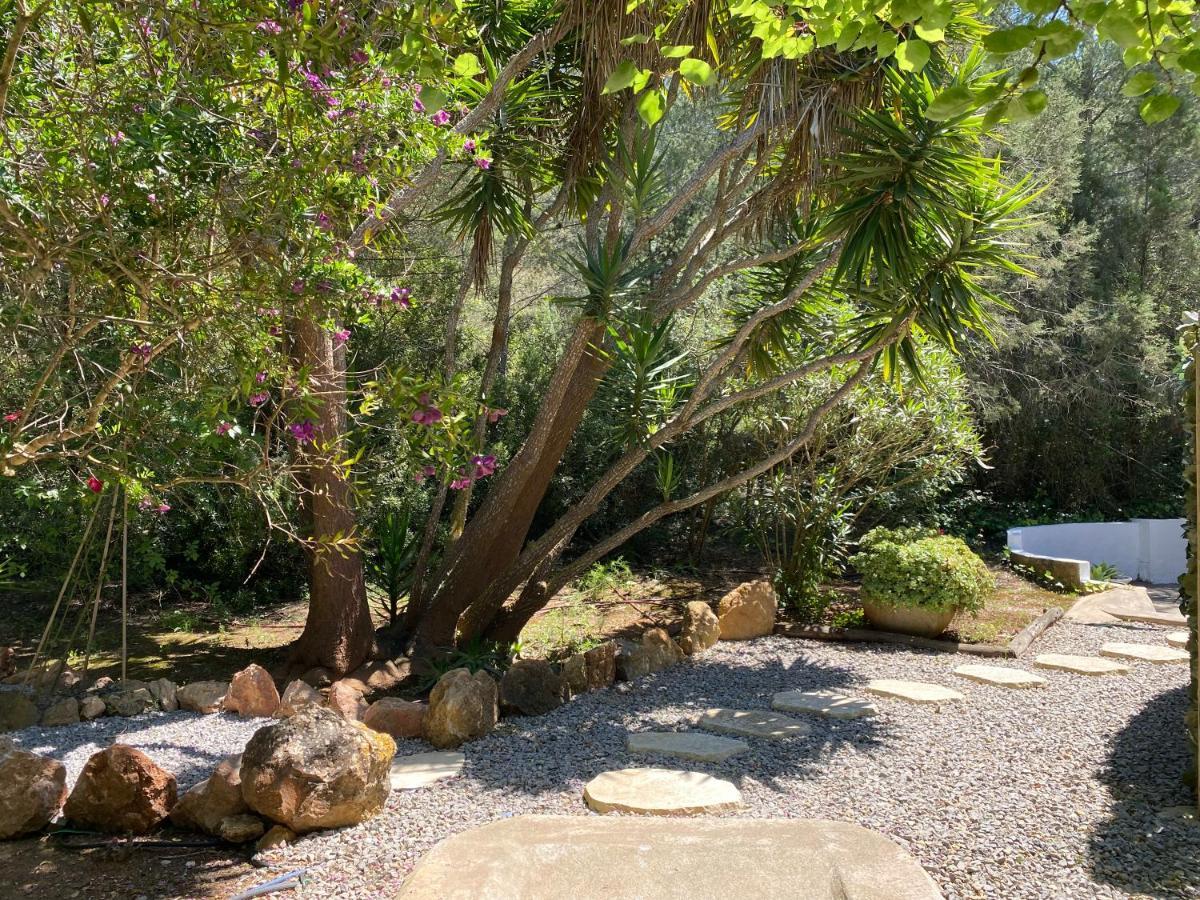 Can Iara Sant Miquel de Balansat Exteriér fotografie